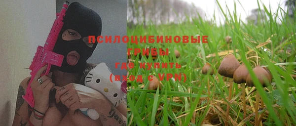 СК Белокуриха