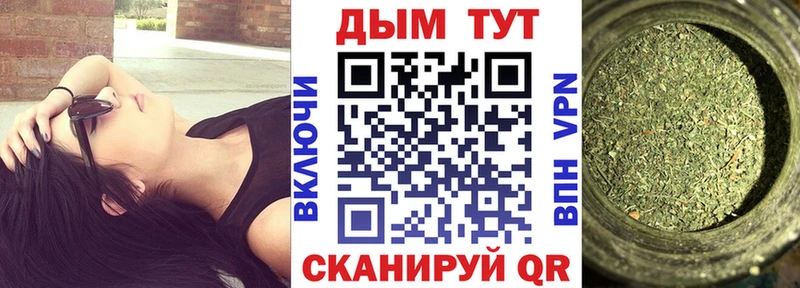 мега вход  Миллерово  Бошки марихуана Amnesia  купить наркоту 
